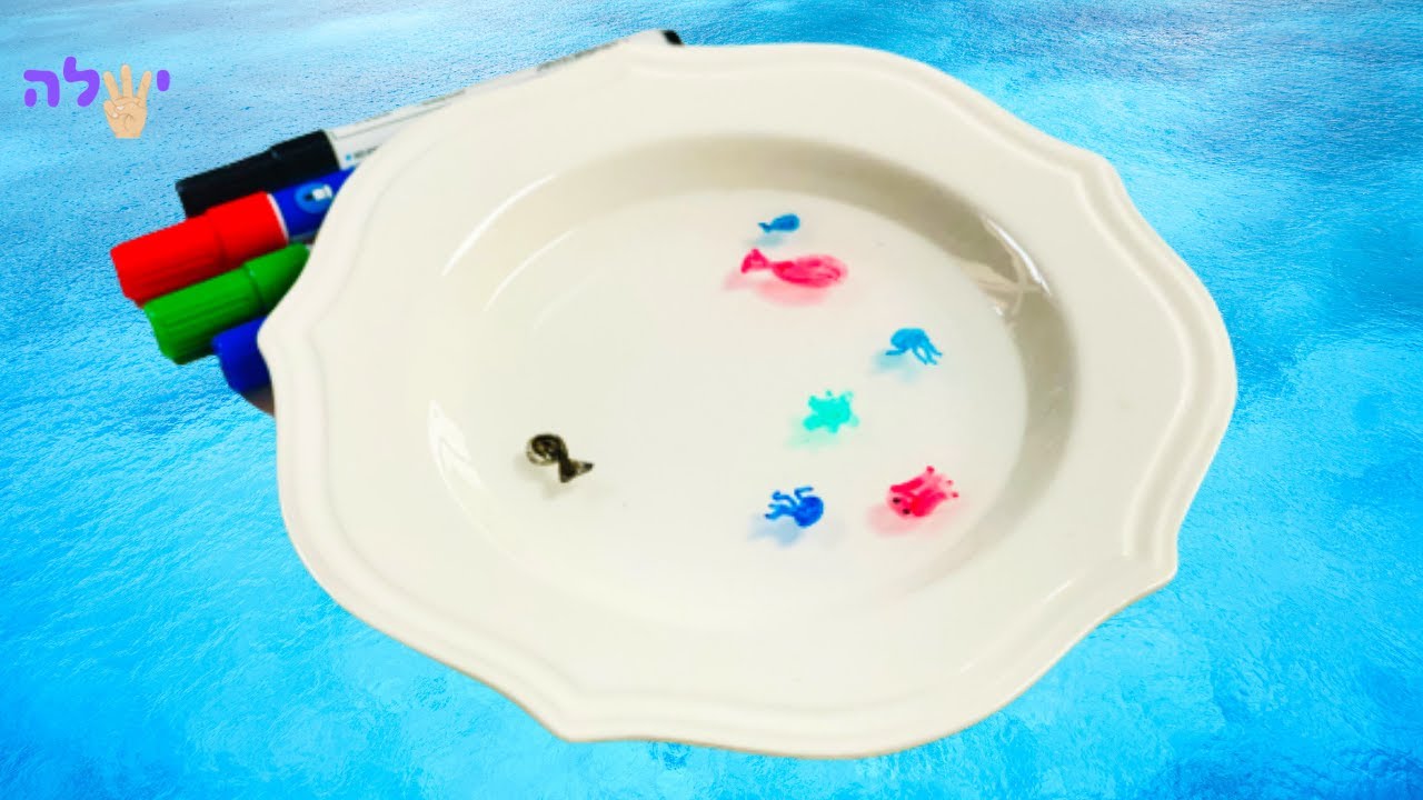 Floating sea creatures using sharpies Yeshla